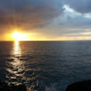 Meet your Posher, Youngho